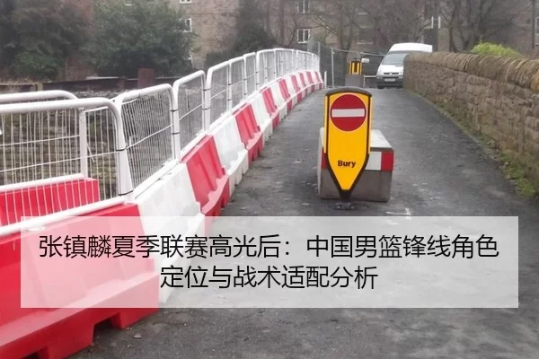 张镇麟夏季联赛高光后：中国男篮锋线角色定位与战术适配分析
